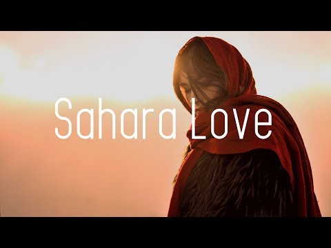 Zoë Tauran - Summer Love (w/ Frenna) on Spotify Charts