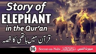 (6) Story of Elephant - Seerat-un-Nabi - Seerah in Urdu - IslamSearch.org