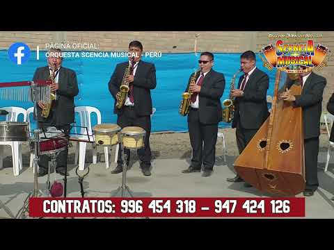 Mi Ultima Despedida/Tarde te Valore/Amor Ajeno/Malo Tu Corazón           ORQUESTA SCENCIA MUSICAL