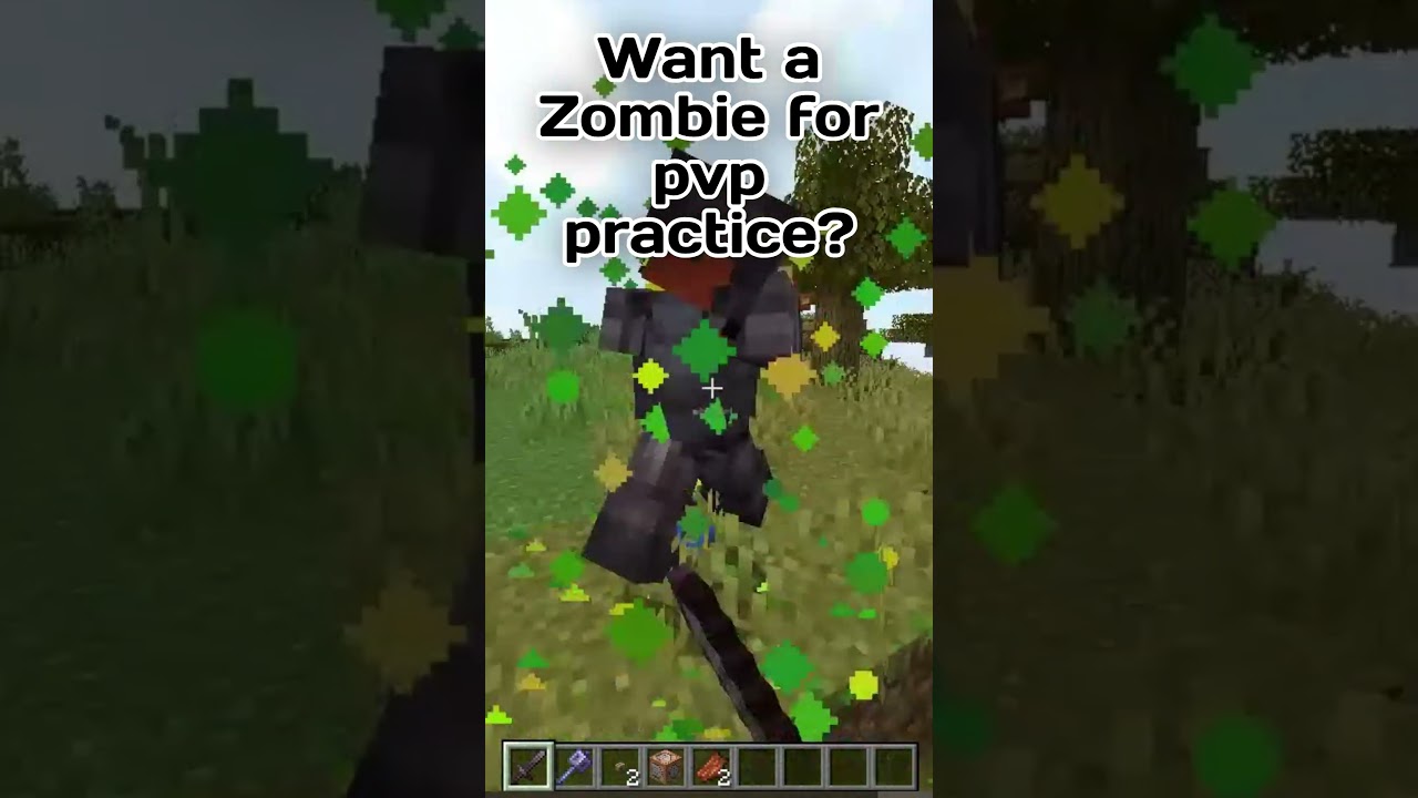 Totem zombie for pvp practice 1.21.8 !! command in description