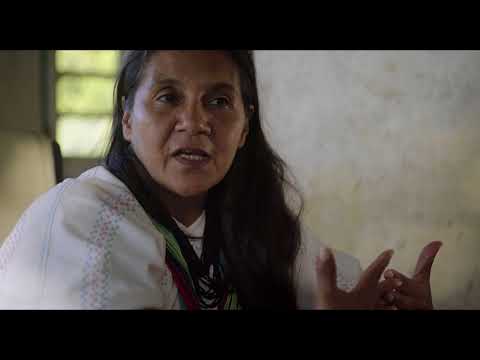 Trailer | Thinking Like a Mountain | Alexander Hick