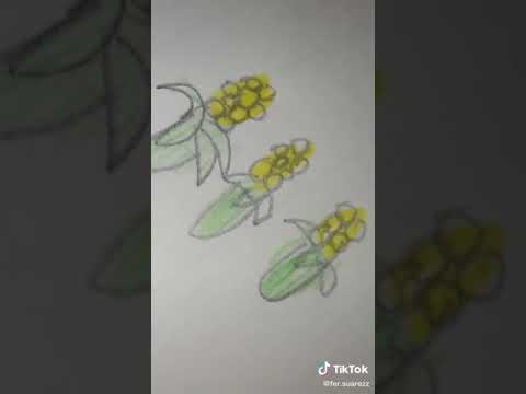 "CUANDO NOS PREGUNTAN COMO ES ARGENTINA" 😂🇦🇷chiste para cagars* de risa  😂