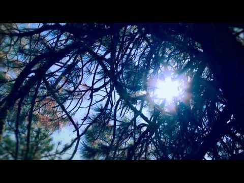 Times of Grace - Willing