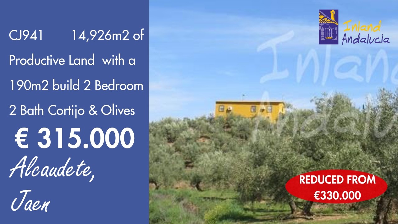 Villa for sale in Alcaudete - CJ941