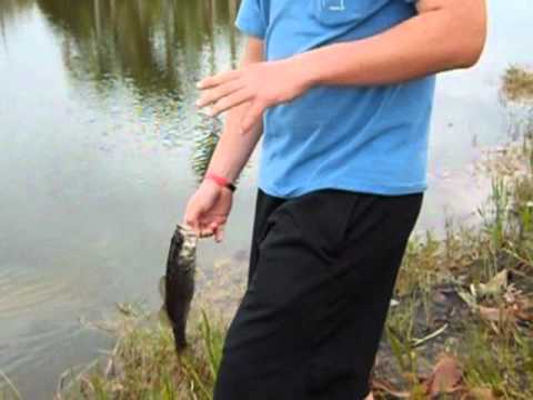 nice bass fishing at a local pond