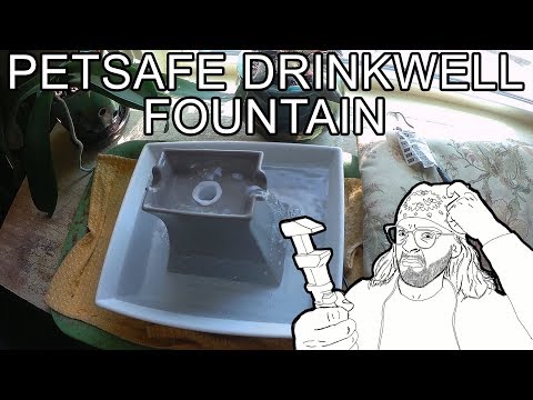 Fountain for Pets Review - PetSafe Fountain