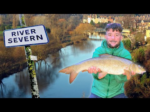 Summer Barbel fishing on the River Severn