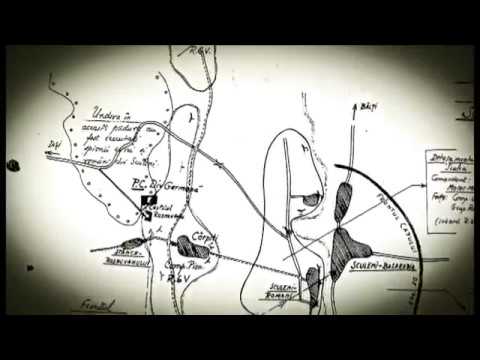 DESCOPERIREA GROPII COMUNE DIN PĂDUREA VULTURI, POPRICANI, IAȘI