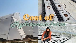 Cost of setting up Hydroponic farm in India. #farming #hydroponicfarming