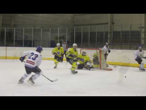 HHK VM - HC Lvi Břeclav - čtvrtfinále play off - 1.3.2017