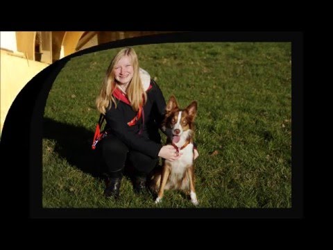 Nice Nayla (15-16 Months) Agility Training