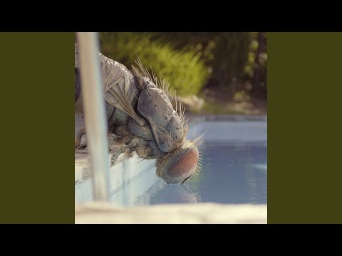 Mandibules (Main Theme)