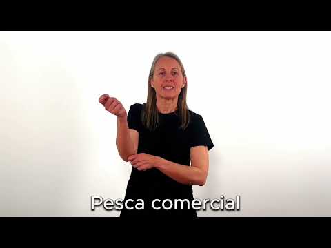 Pesca comercial - LSC