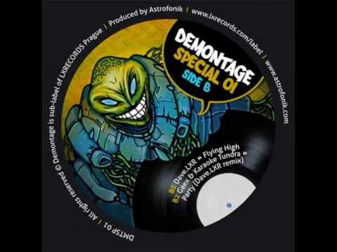 Dave.LXR - Flying High