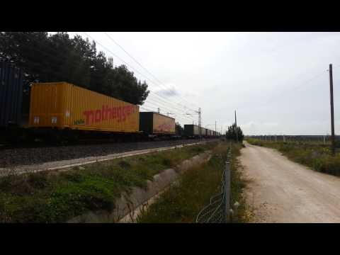 CONTAINER IN TRANSITO