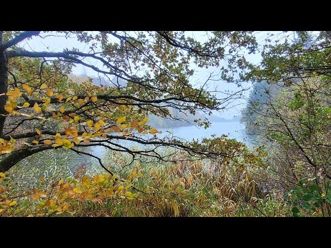 Wanderung Marienheide - Radevormwald 