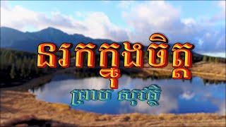 នរកក្នុងចិត្ត (ព្រាប សុវត្ថិ), Lyrics Audio, RHM CD Vol 323