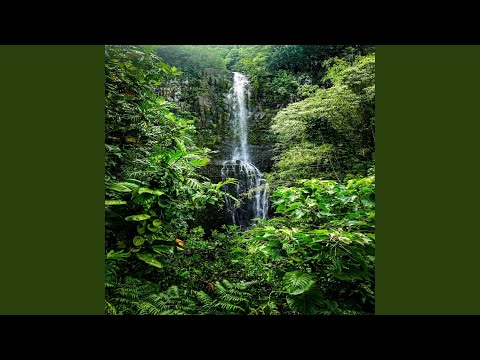 Titi Noqu Ka Talei (feat. Voqa Kei Lewayasi)