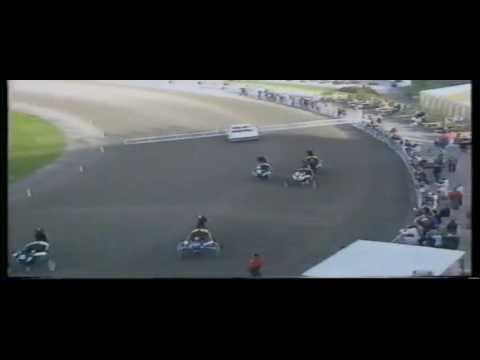 Sugarcane Hanover_C. Th. Ericssons Memorial 1988