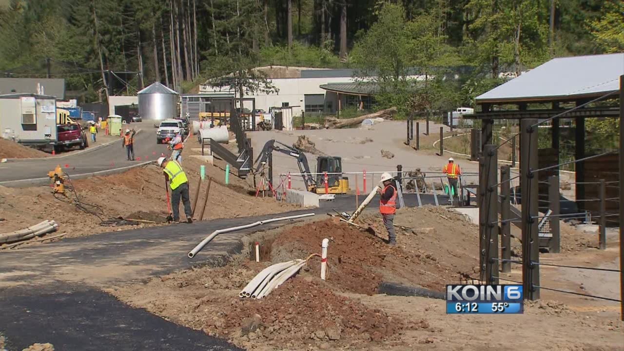 KOIN 6 News "The Elephant in the Room with Oregon Zoo Bond"