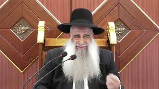 זבוב - החיזוק היומי - הרה״ג שי פרי שליט״א
