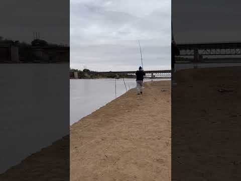 Piqué en el bermejo pichanal pescando