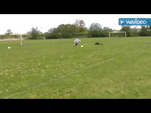 Alfie and Anthony training drills - funny fails