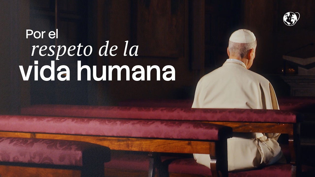 El Video del Papa |  Por el respeto de la vida humana | Julio 2026