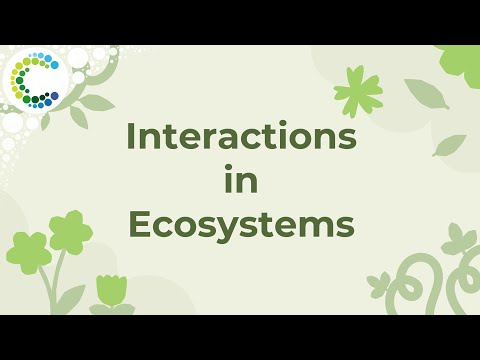 Interactions in Ecosystems