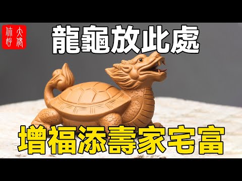 五財龍龜