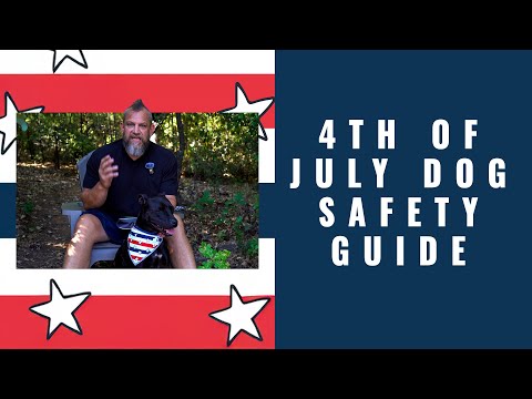 Ultimate 4th of July dog Safety Guide