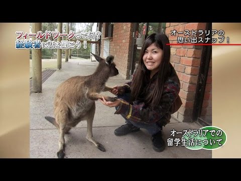 グローバル・コミュニケーション学部「フィールドワーク」って何？ オーストラリア・アメリカ（テキサス）編