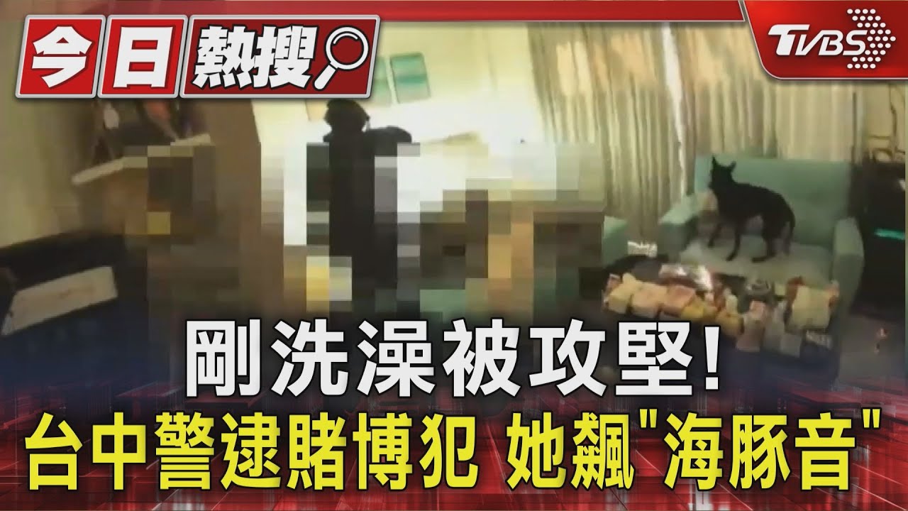 親愛的 原來能叫這麼高音?架賭博網遭攻堅 嫌犯妻飆「海豚音」