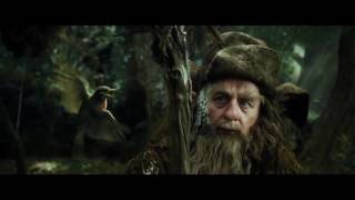 Howard Shore - Radagast the Brown (Music Video)