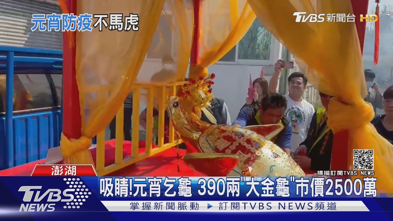 吸睛!元宵乞龜 390兩「大金龜」市價2500萬