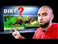 DIRT *BETTER* THAN AQUA SOIL?? low tech planted aquarium || MD FISH TANKS