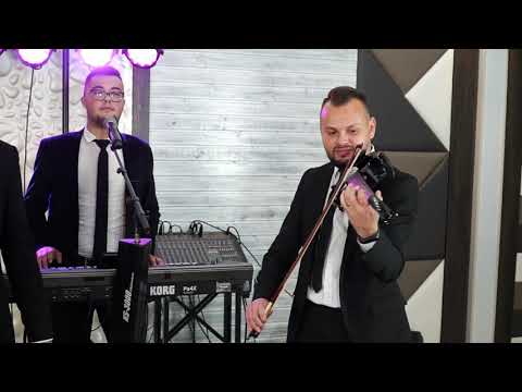 REGAL BAND-Mézédes nyár (Cover)