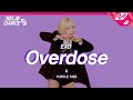 [릴레이댄스 어게인] 퍼플키스(PURPLE KISS) - 중독(Overdose)  (Original song by. EXO-K) (4K)