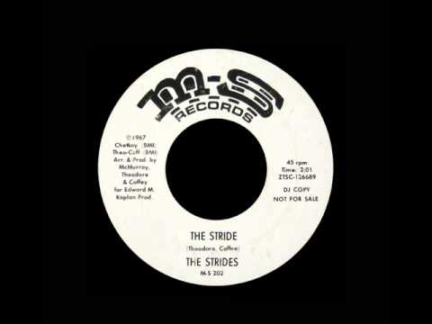 The Strides - The Stride