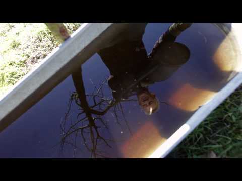 Die Gruenen TV Spot Wahlspot 2011