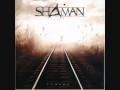 Shaman - In The Night 