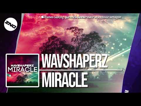 DNZF528 // WAVSHAPERZ - MIRACLE (Official Video DNZ Records)