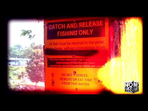 Chernobyl On The Hudson - Infowars News 2/23