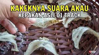 Download lagu 01 Track - Ternyata ini yang Asli Suara AKAU Bukan yang itu ??????????? mp3 Download lagu 01 Track - Ternyata ini yang Asli Suara AKAU Bukan yang itu ??????????? mp3