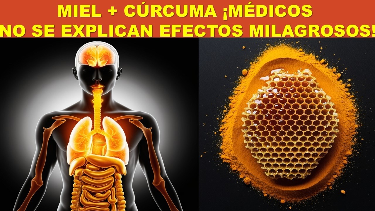 MIEL Y CÚRCUMA TODOS LOS DÍAS; EFECTOS MILAGROSOS EN TU ORGANISMO! (MIEL cada día)