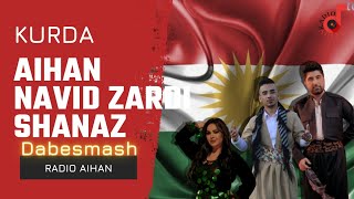 دابسمش آیهان آهنگ از نوید زردی و شاناز aihan s dabesmash kurda by navid zardi shanaz mahsa amini
