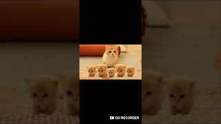 シスター ポルノグラフィティ 歌ったばい