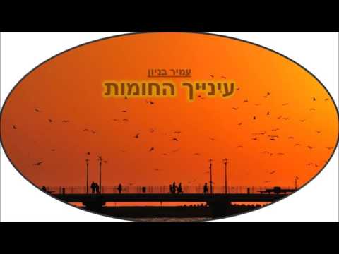 עמיר בניון