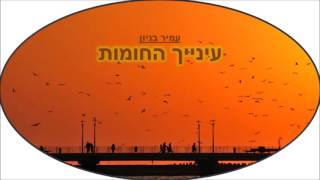 עמיר בניון