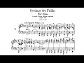 Robert Schumann - Gesänge der Frühe, op.133 (Uchida)(score video)